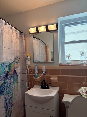 Combined shower/bathtub, hair dryer, toilet paper