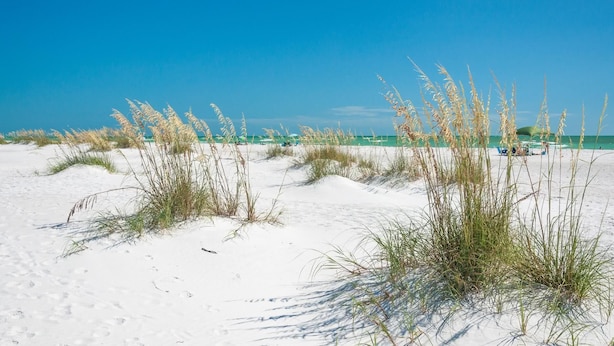 Una playa de arena blanca con vegetación escasa.