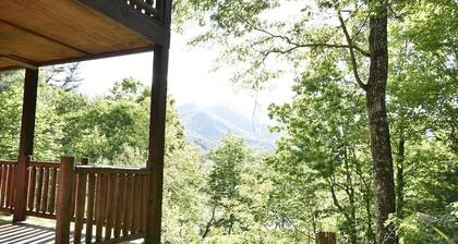 Black Bell-Mountain Top View-High speed internet