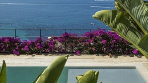 A pool with a view of the ocean, surrounded by tropical plants and purple flowers. - Exclusive & stylish villa. Concierge service included (Roses)