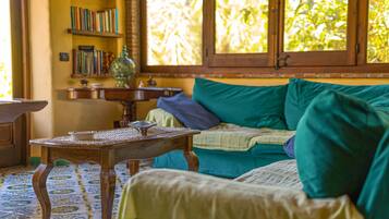 TV, caminetto, studio