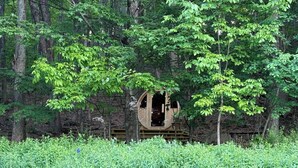 A secluded cabin surrounded by dense forest, with a wooden deck and a large window. - Cozy Cottage with Pool+Jacuzzi+Sauna+Fire Pit and Reading Nook! (Livingston Manor)