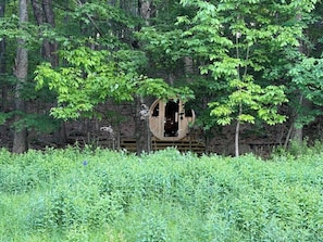 A secluded cabin surrounded by dense forest, with a wooden deck and a large window.
