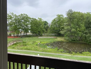 Property grounds - Convenient location to Weirs Beach at Lake Winnipesaukee (Laconia)