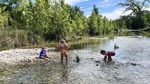A natural outdoor setting with a clear stream, surrounded by trees and vegetation.
