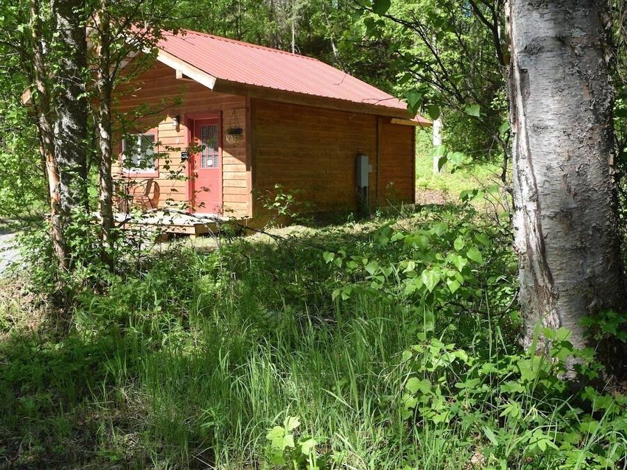 Cabaña superior, baño privado (Birch Cabin) | Exterior