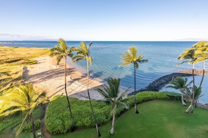 Beach - Menehune Shores 124 - Great Beach Front Resort with Beautiful Resort Grounds! (Kihei)