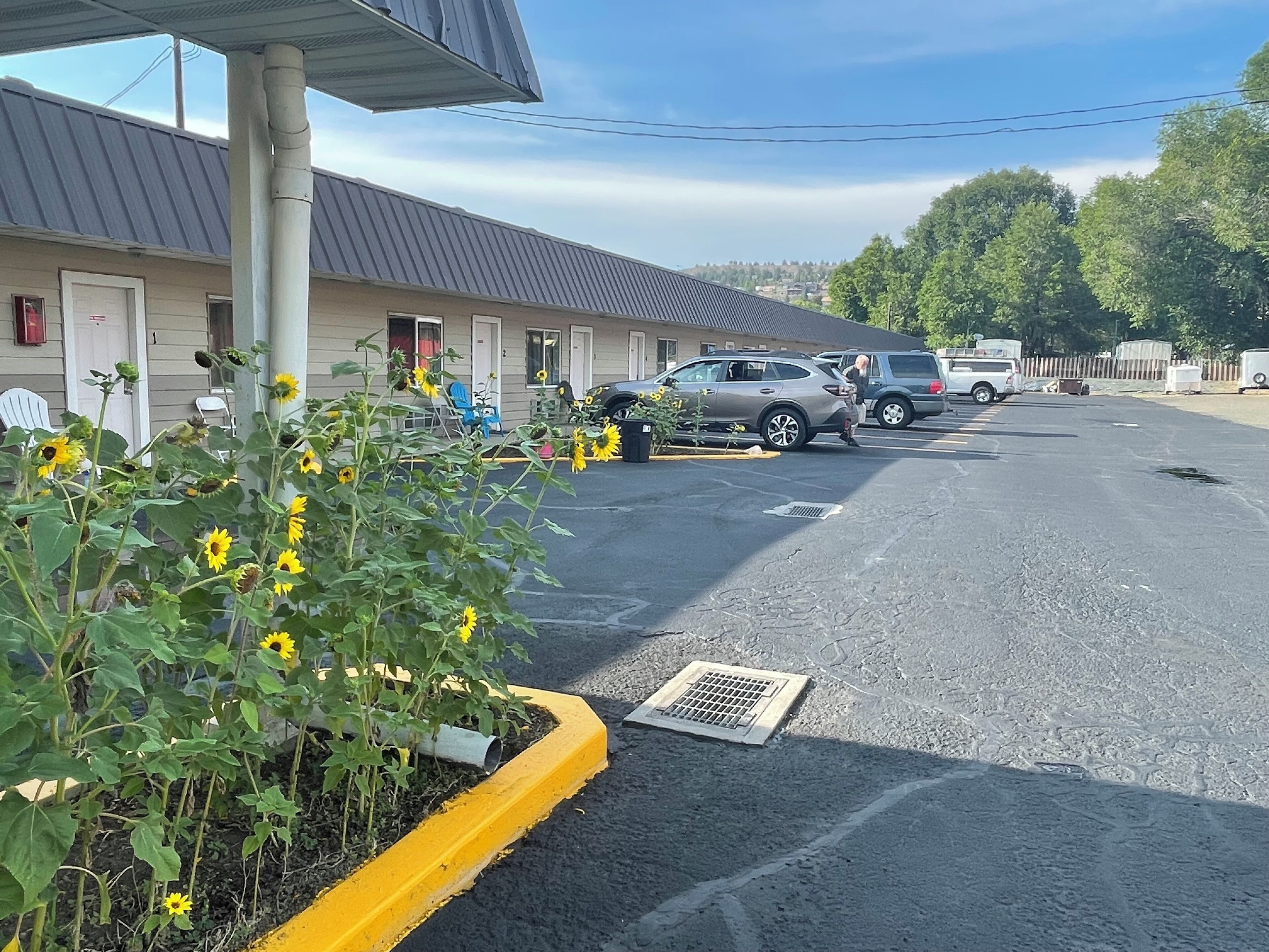A motel with a parking lot, a row of rooms, and a garden with sunflowers.