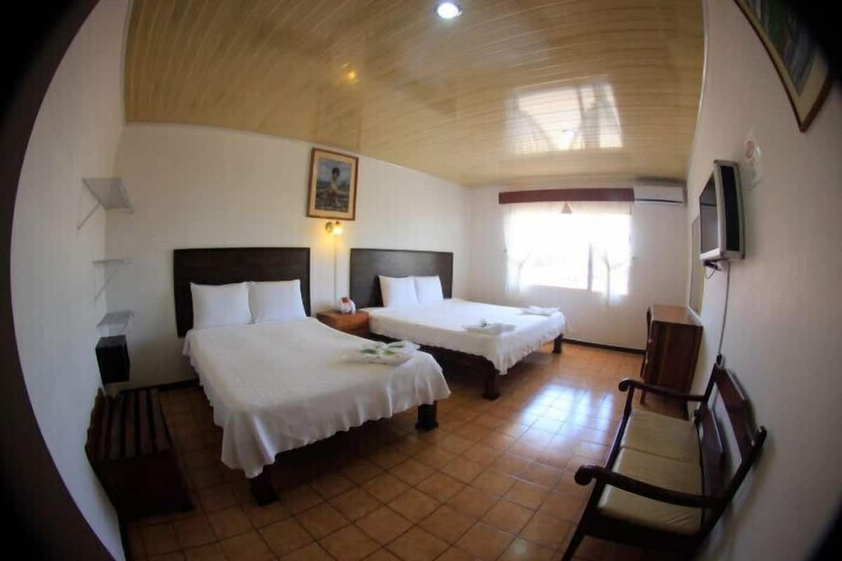 Standard Double Room | Down duvets, desk, laptop workspace, blackout curtains