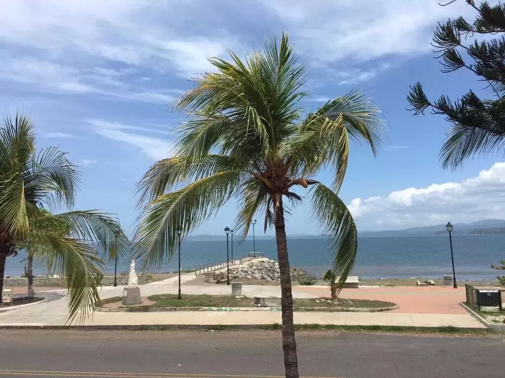 A palm tree-lined promenade with a view of the sea and a statue in the background.