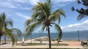 A palm tree-lined promenade with a view of the sea and a statue in the background.