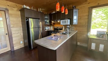 Frigorífico, microondas, horno y placa de cocina