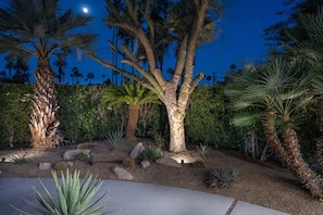 Terrain de l’hébergement 