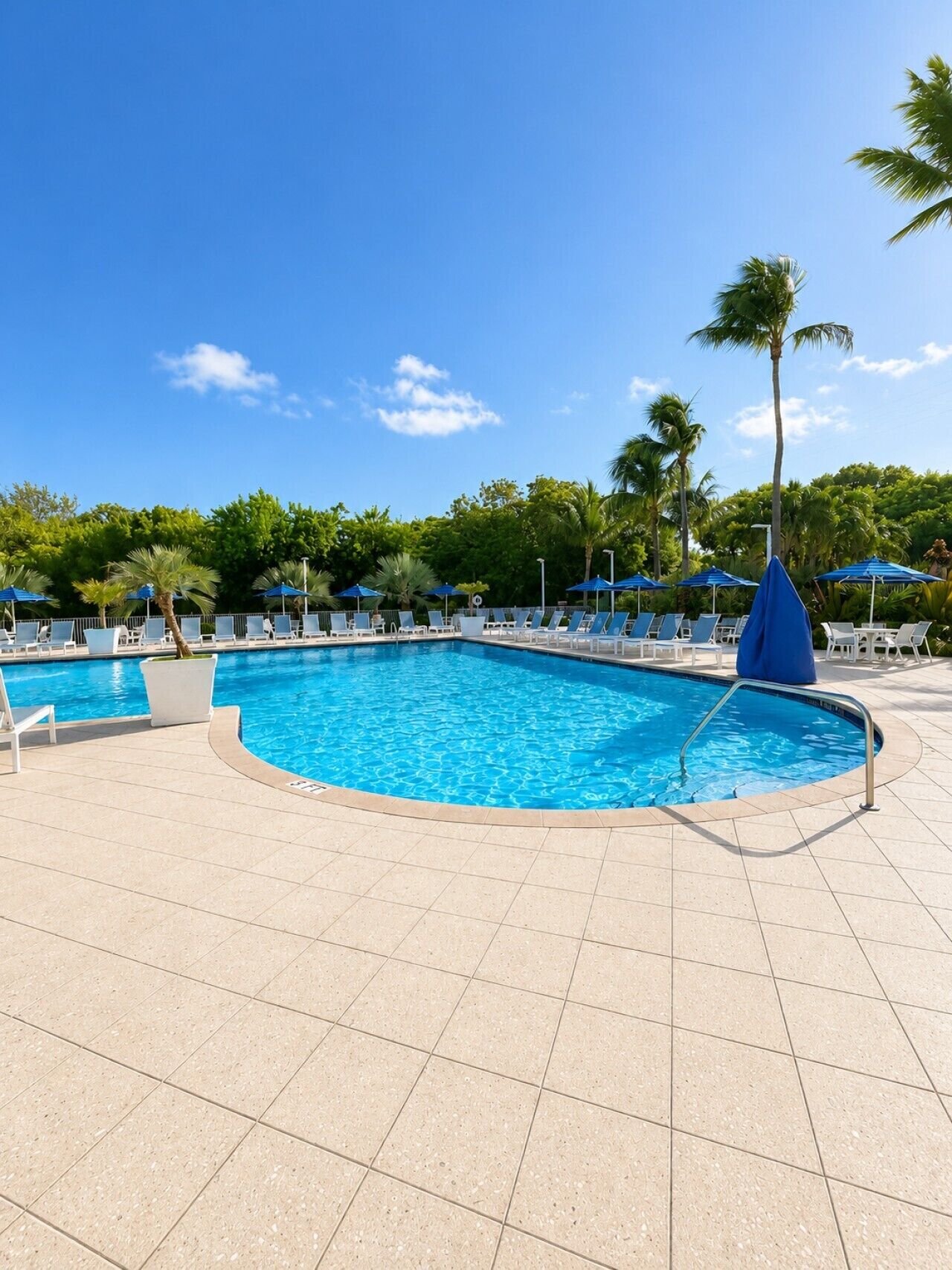 A swimming pool with blue water, surrounded by lounge chairs and umbrellas, and palm trees in the background.