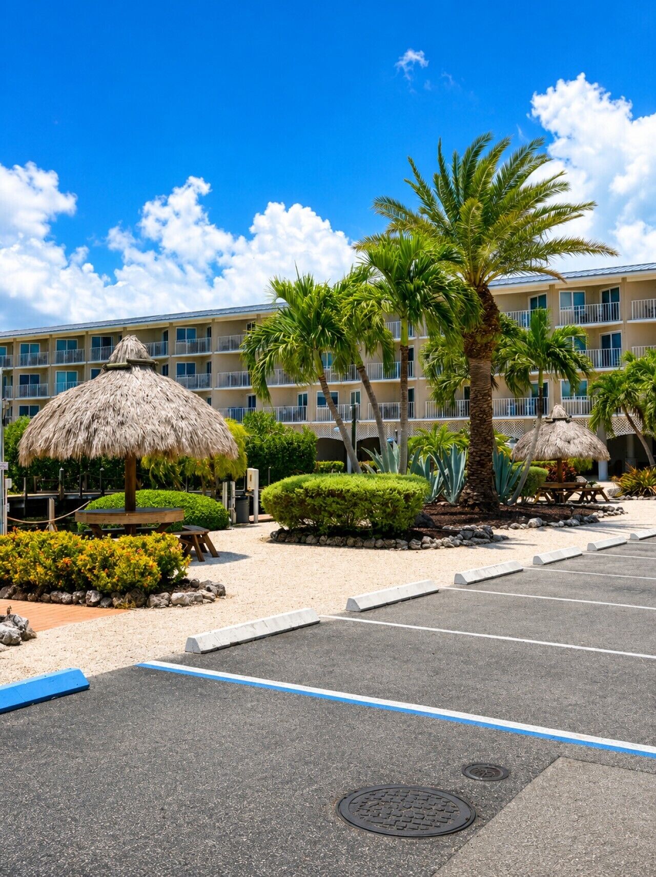 A hotel with a parking lot, palm trees, and thatched umbrellas.