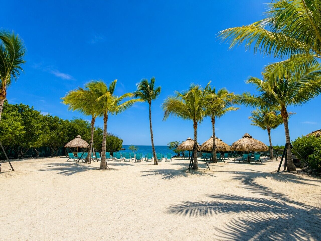 A beach with palm trees, thatched umbrellas, and sun loungers.