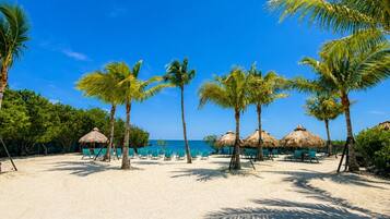 A beach with palm trees, thatched umbrellas, and sun loungers.