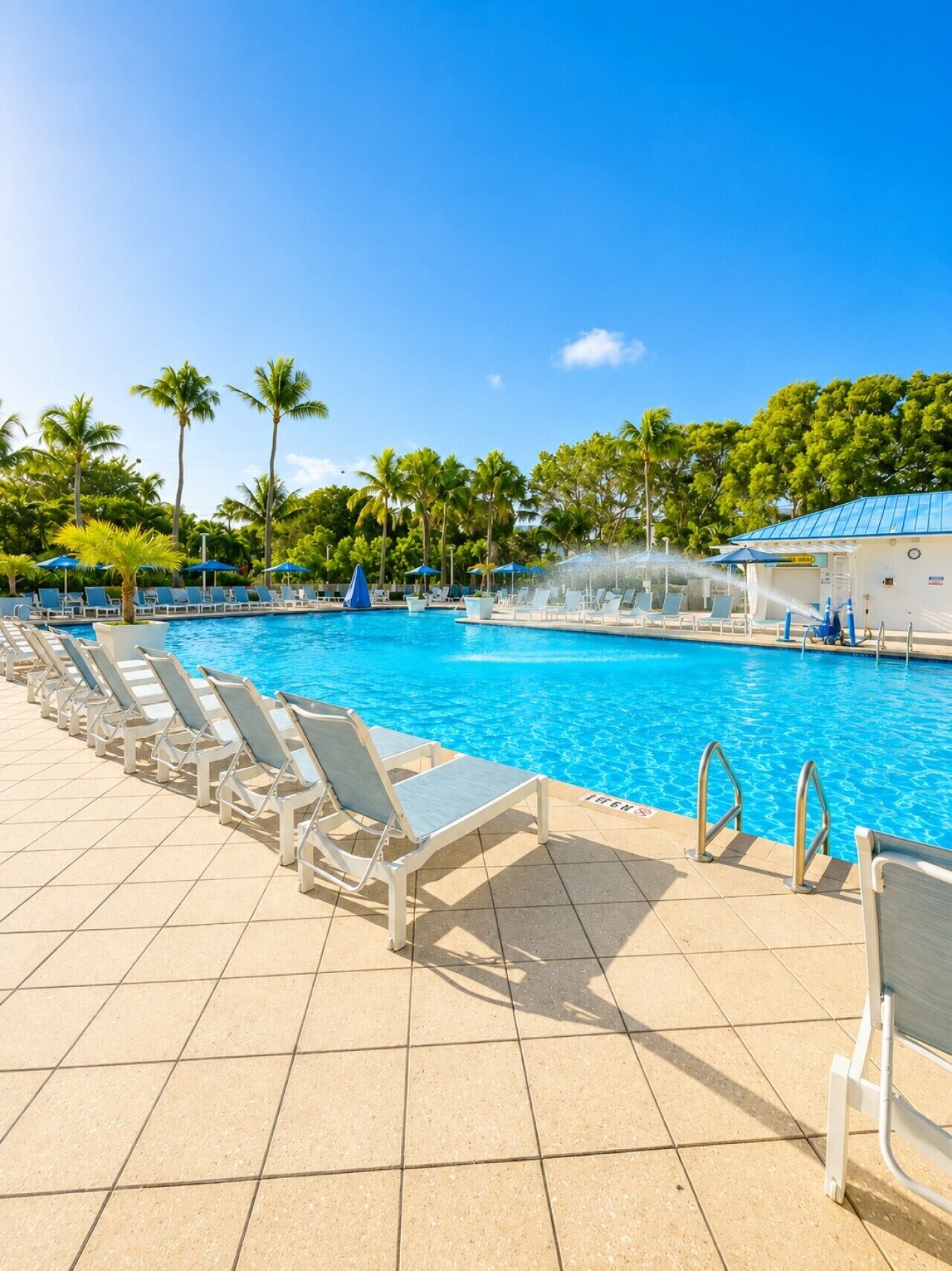 A swimming pool with lounge chairs and palm trees.