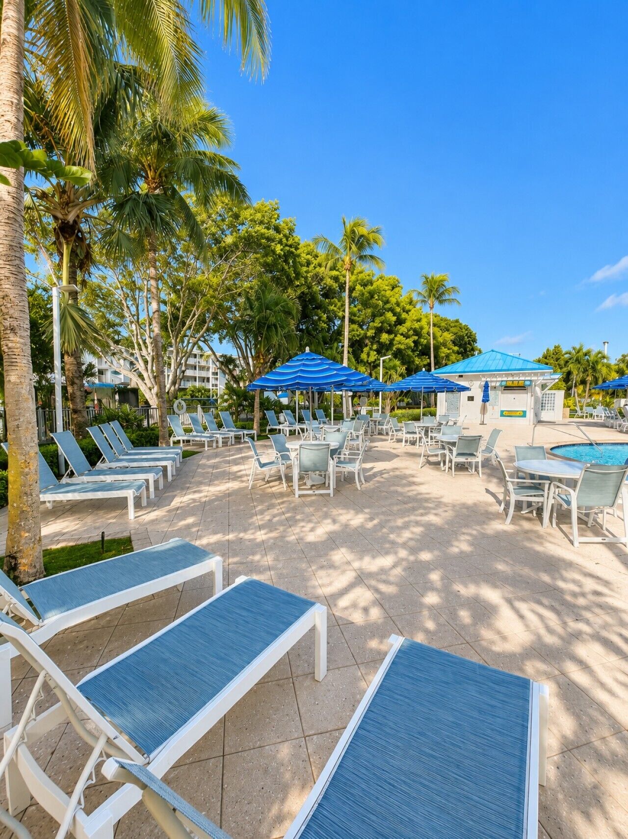 A resort pool area with sun loungers, umbrellas, and palm trees.