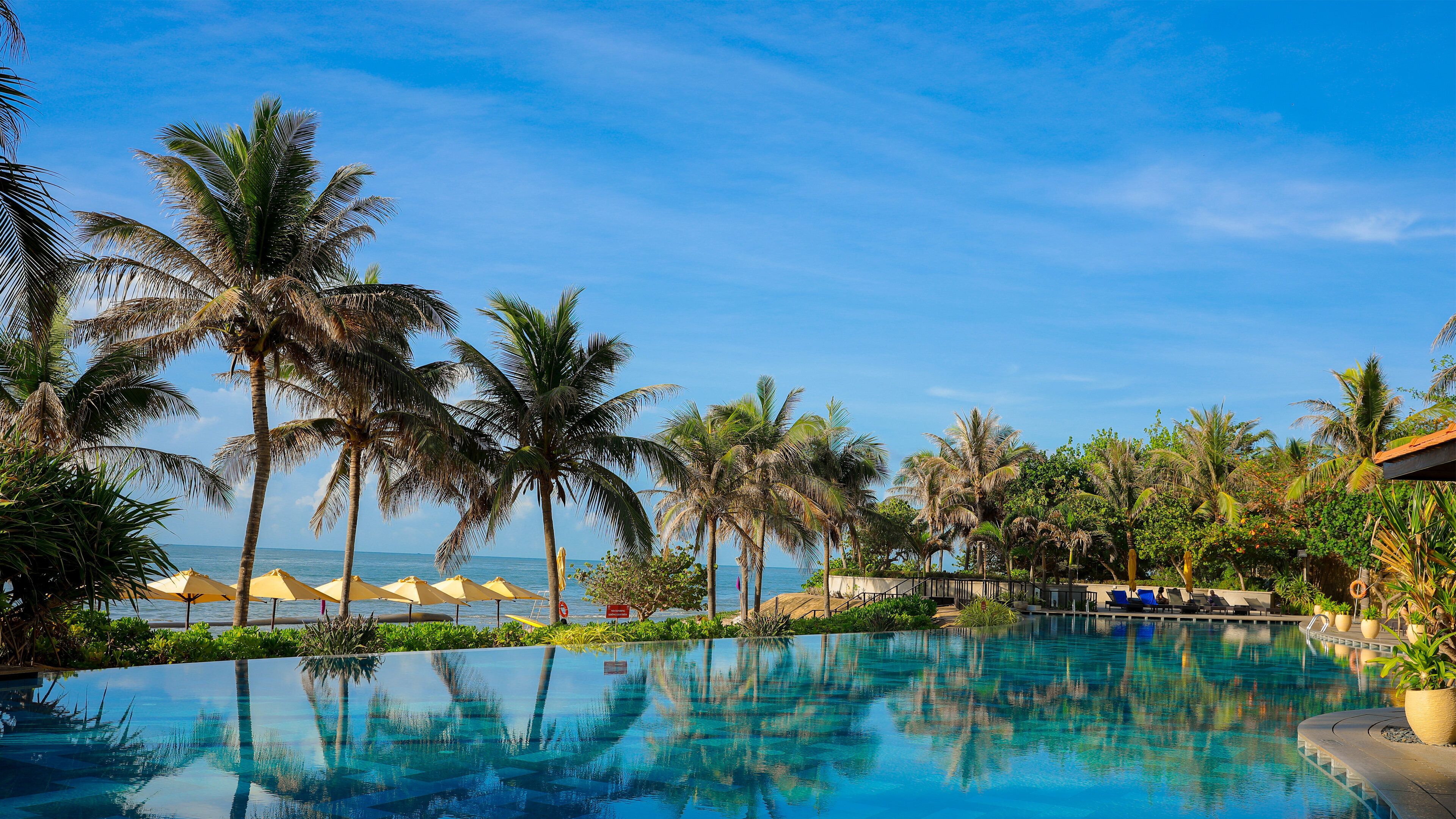 Ein Poolbereich mit Palmen und Blick aufs Meer.
