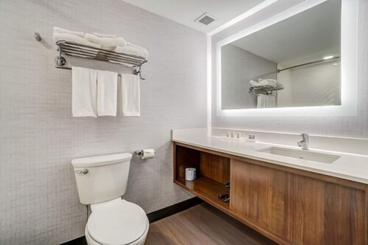 standard room, 2 queen beds | bathroom | hair dryer, towels