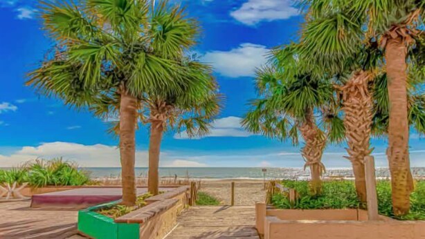 Strand