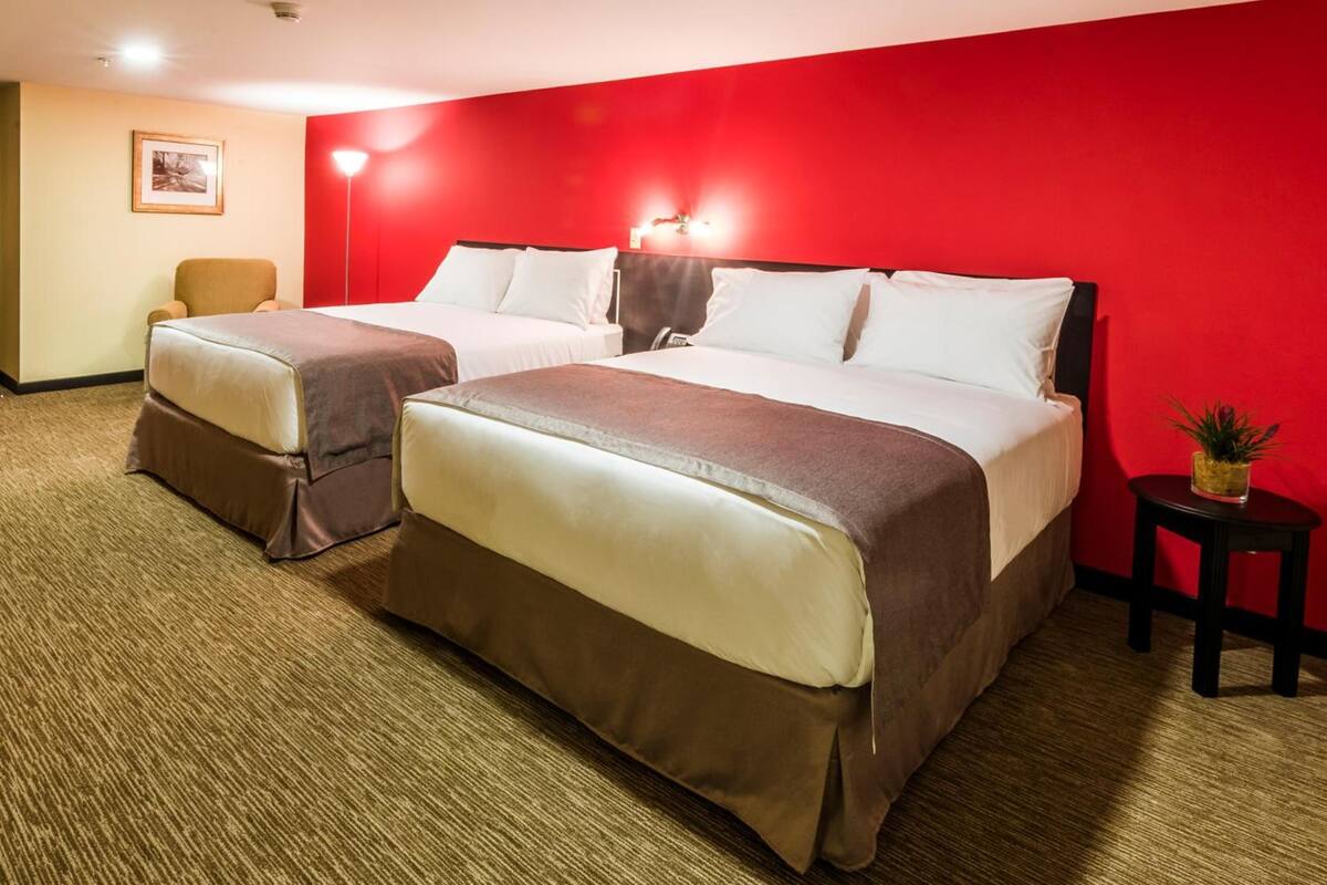 A hotel room with two beds, a red accent wall, a small table with a plant, and a framed picture on the wall.
