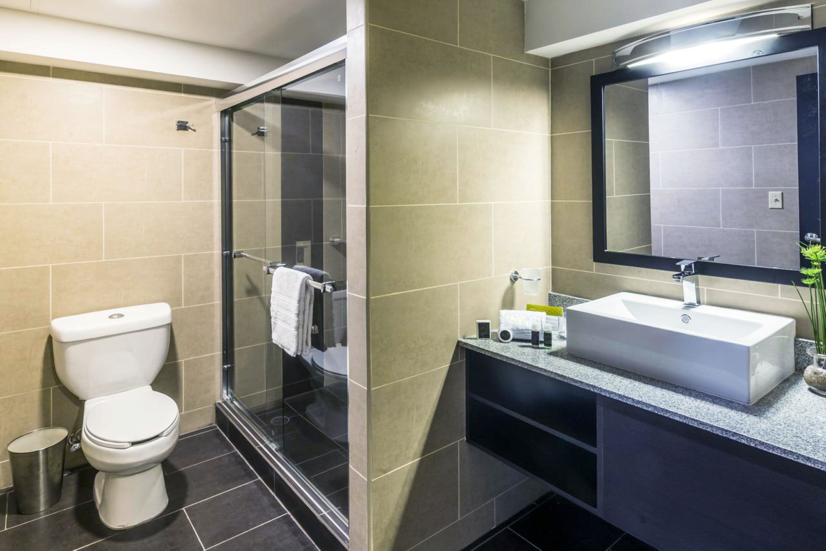 hair dryer, towels, soap, shampoo