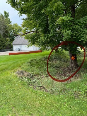 Enceinte de l’hébergement