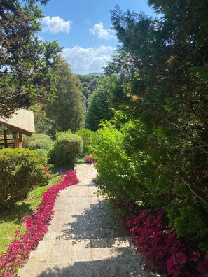 Área da propriedade