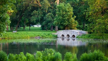 Terrain de l’hébergement 