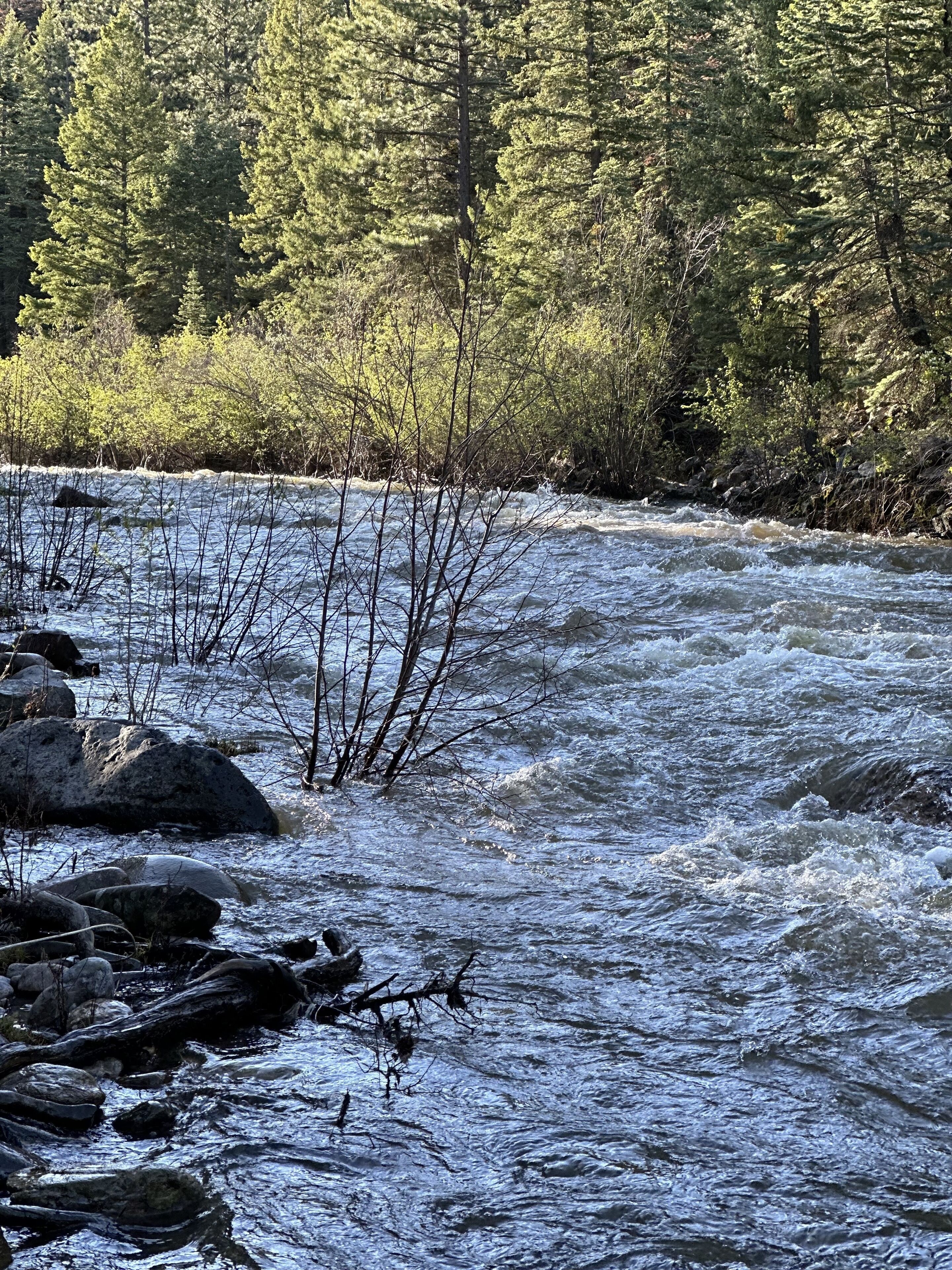 Luxury Cabin on Brazos River with breathtaking views of Brazos Cliffs.