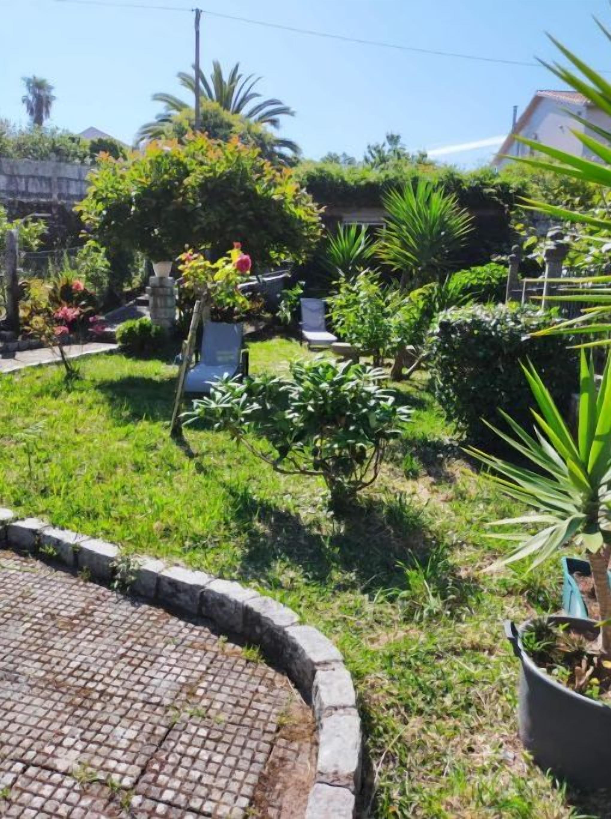 Un jardin avec différentes espèces de plantes et un chemin bordé de briques.