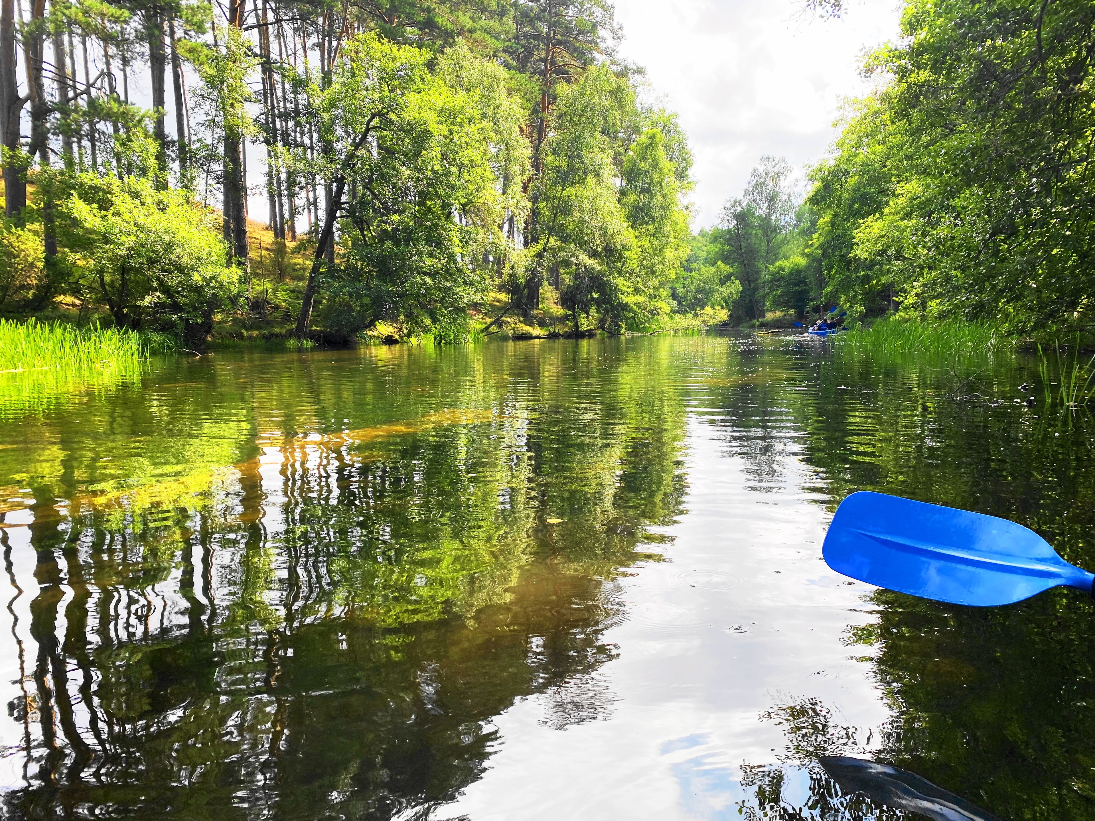 Une rivière paisible, bordée de chaque côté d’une végétation luxuriante.