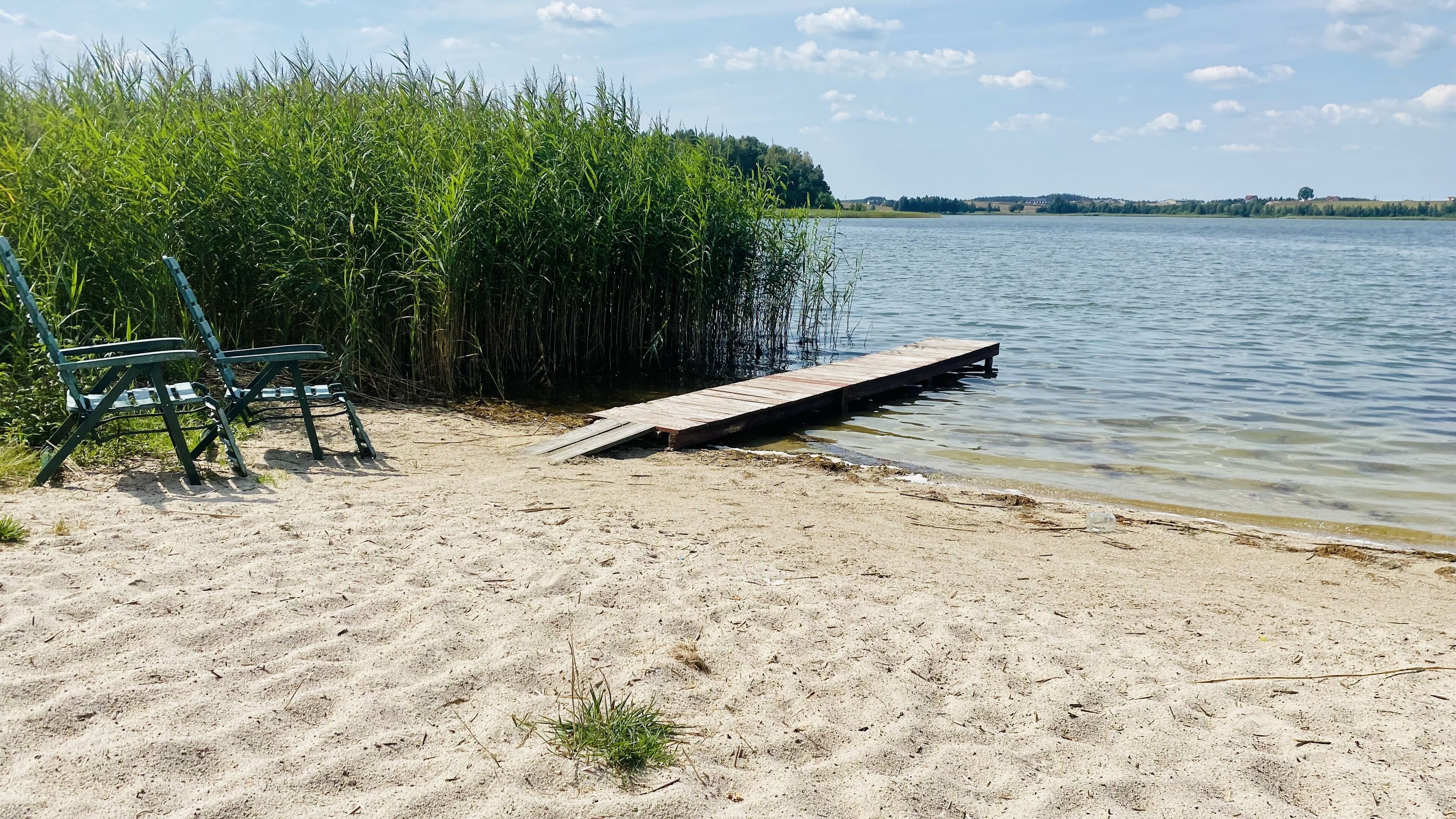 Una playa arenosa con un muelle de madera que se adentra en un lago tranquilo, rodeada de altas hierbas.