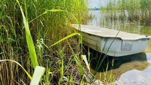Un bateau, partiellement immergé, se trouve dans une zone marécageuse à la végétation dense.