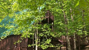 Eine rustikale Holzkonstruktion mit einer Treppe, die zu einer Plattform führt, umgeben von dichtem Grün.