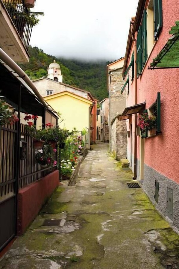 المنطقة المحيطة بالمنشأة