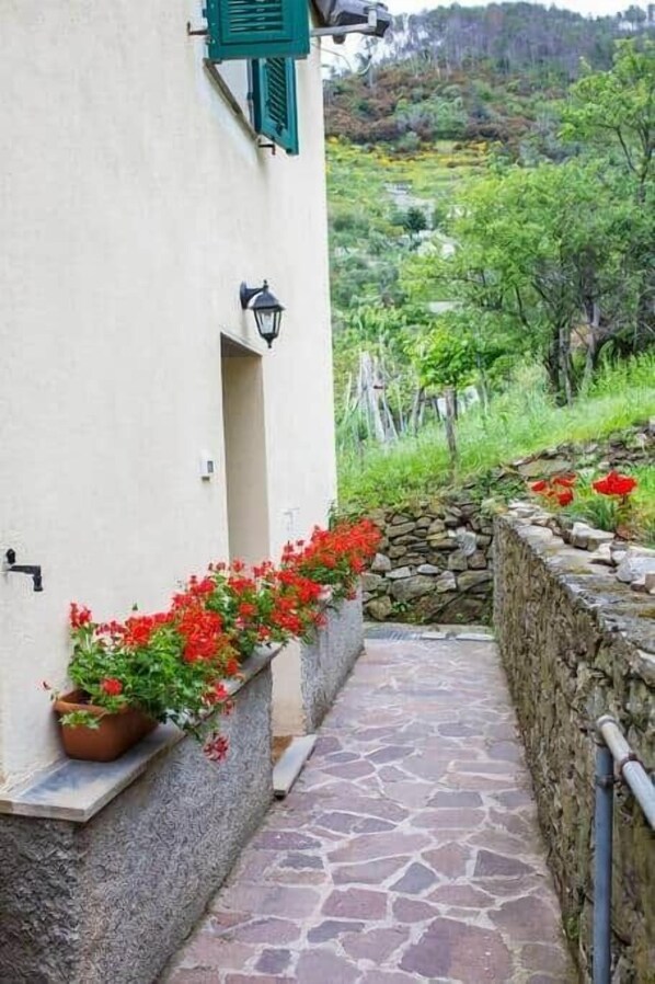 Un estrecho sendero de piedra que conduce a un edificio con fachada blanca, contraventanas verdes y flores rojas en macetas.