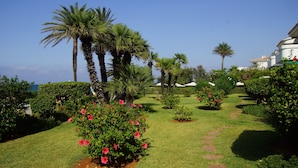 Ein gepflegter Garten mit Palmen, einem Weg und Blick auf das Meer.