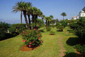 Property grounds - Fantastic sea views right on the beach in Denia (Denia)