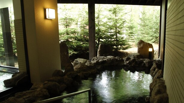 A tranquil indoor water feature with a stone pathway and a wooden structure. - Sahoro Resort Hotel (Shintoku)