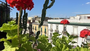 A rooftop garden with red geraniums and a cactus, overlooking a cityscape with buildings. - Up Hotel (Naples)
