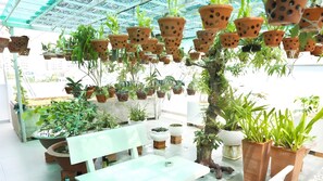 Khuôn viên nơi lưu trú