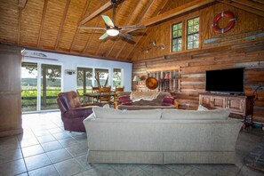 Televisión, chimenea y reproductor de DVD 