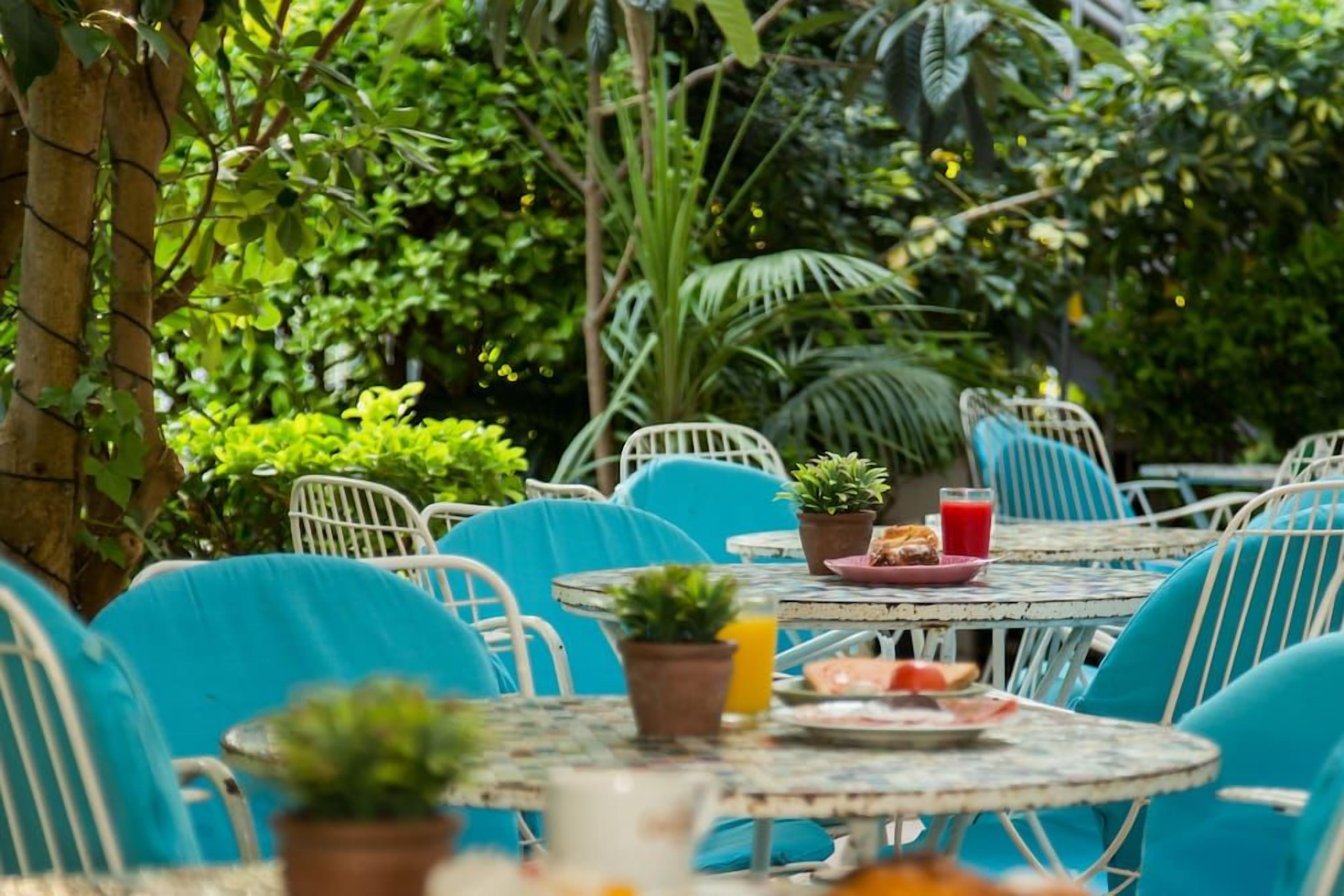 Un espacio de estar al aire libre con mesas y sillas redondas, rodeado de abundante vegetación.