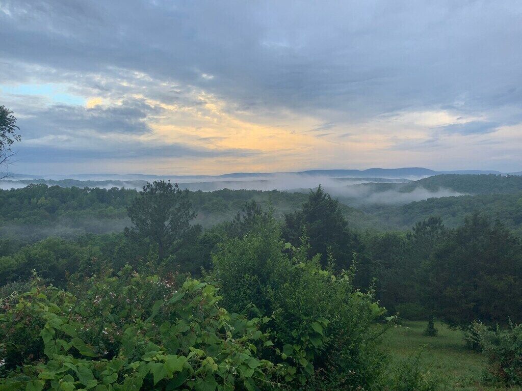 View from the back porch.