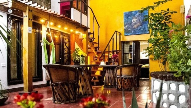 Um espaço interno acolhedor, com mobiliário de madeira, uma escada e plantas em vasos.