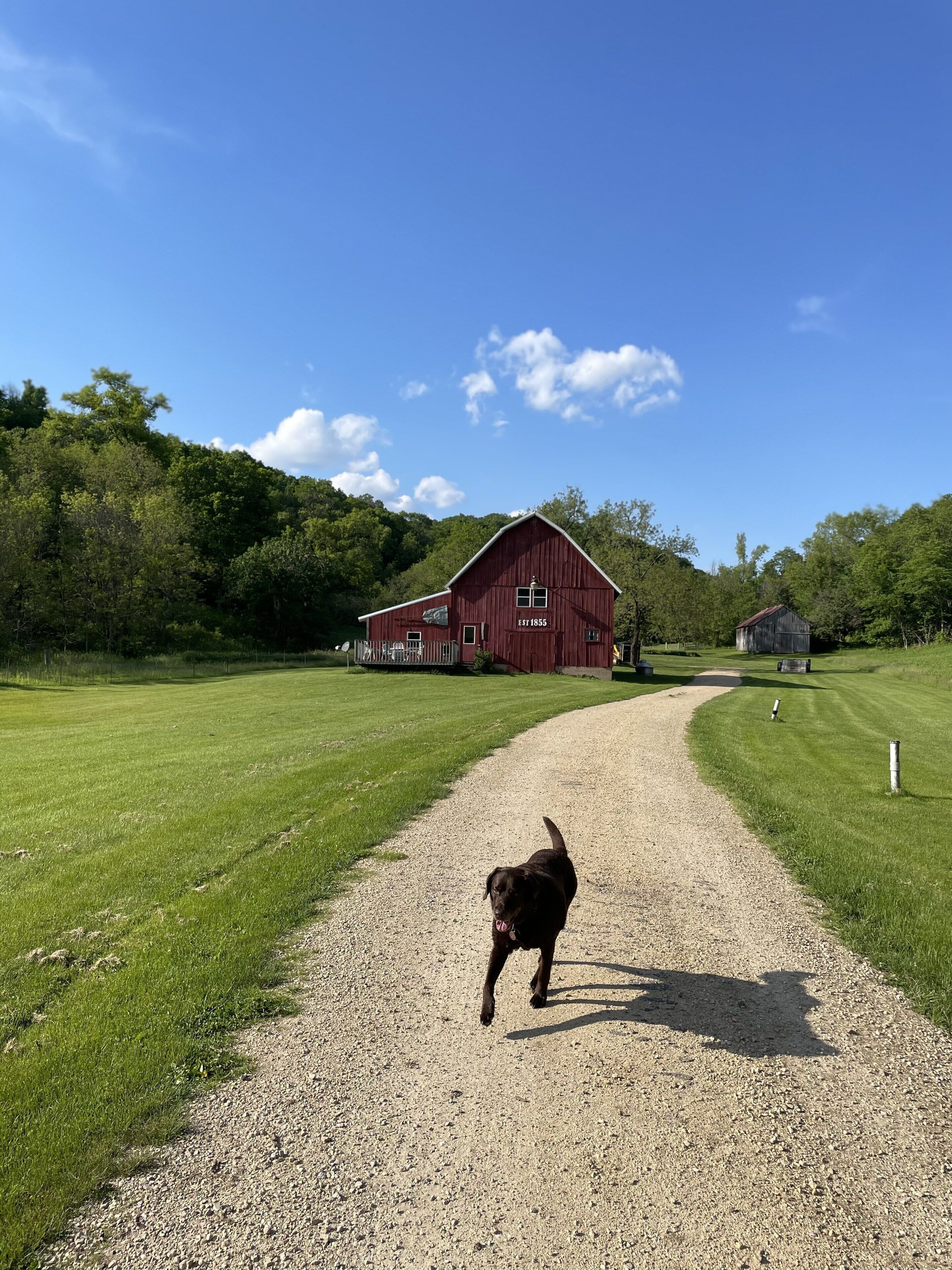 Enceinte de l’hébergement