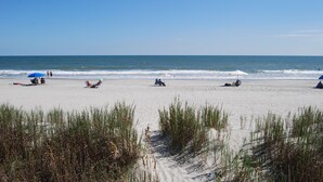 Ein Strand mit Menschen, die unter Sonnenschirmen entspannen, ein sandiger Uferbereich und hohes Gras im Vordergrund.